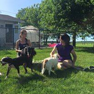Dog kennels in Montreal