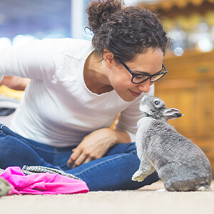 Pet hotel in Montreal
