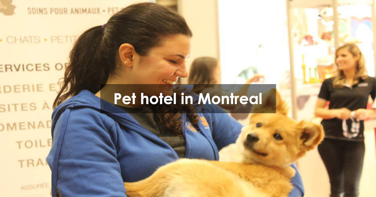 Pet hotel in Montreal