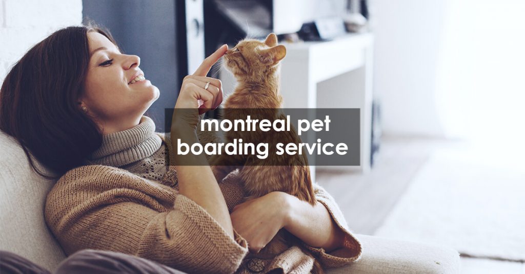 montreal pet boarding service