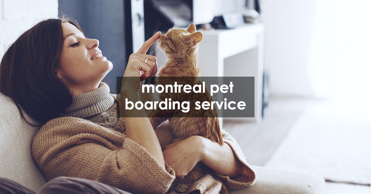 montreal pet boarding service